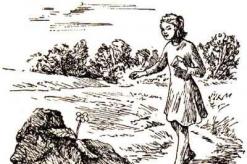  Анализ сказки-были А.П. Платонова «Неизвестный цветок. «Неизвестный цветок», анализ произведения Платонова Неизвестный цветок чем
